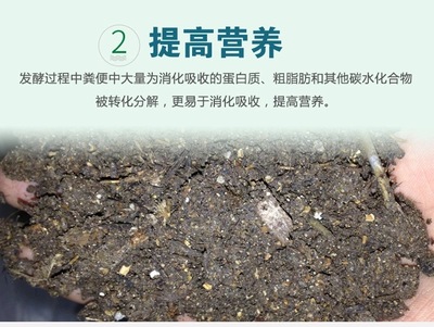 發(fā)酵雞糞肥水養(yǎng)魚用EM菌發(fā)酵劑價格及生物有機(jī)肥料研發(fā)概述
