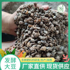 河北生物菌生物有機(jī)肥料研發(fā) 推進(jìn)綠色農(nóng)業(yè)發(fā)展新路徑